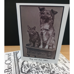 Conwy Archives Greeting Card - Dog & Cat