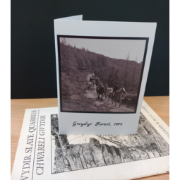 Conwy Archives Greeting Card - Gwydyr Forest